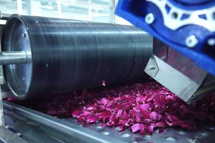 全面革新 探秘嘉華食品“花工廠”技術(shù)升級(jí)之道